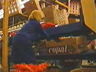 TRABAJADOR ENVASADORA 03